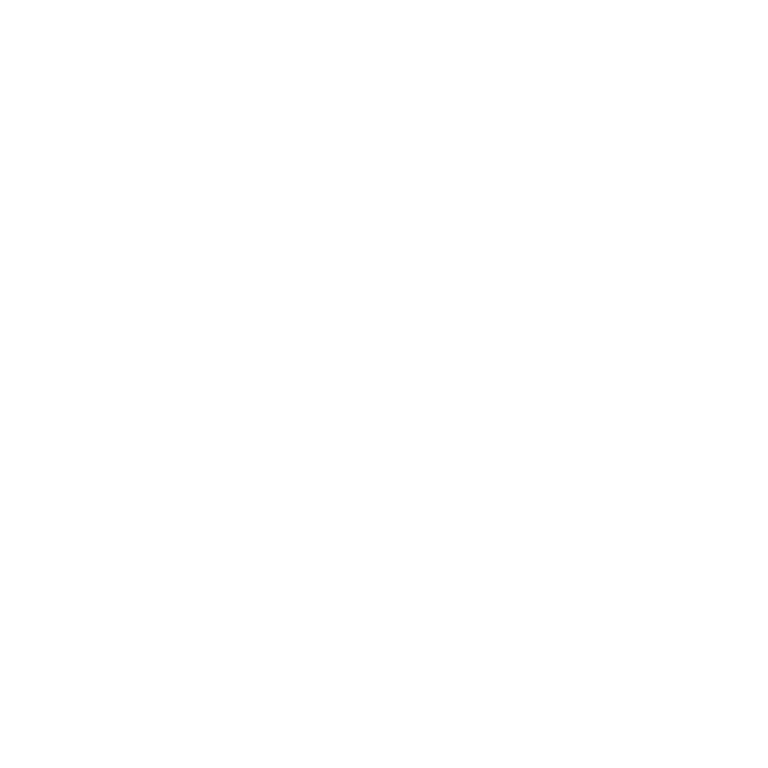 Audi.png