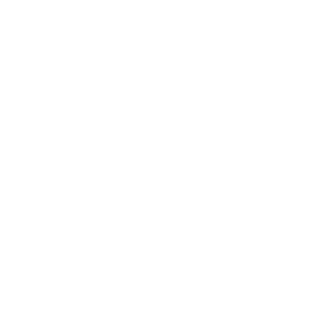 BMW_WHITE.png